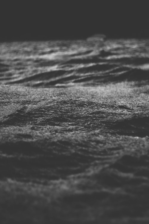 dark-waters